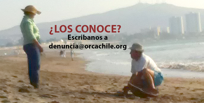 /orcachile.org