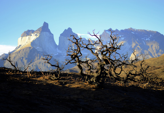 A un mes de la Tragedia del Parque Nacional Torres del Paine