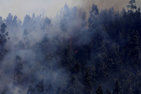 Incendio forestal en la localida de San Jose de Colico