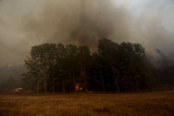 Incendio forestal en la localida de San Jose de Colico