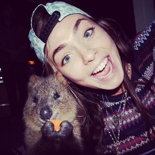 quokka-selfie-trend-cute-rodent-australia-19__605