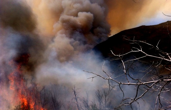 ÑUBLE: Incendio en Reserva Ñuble