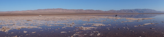 Desierto de Atacama luego de las lluvias.