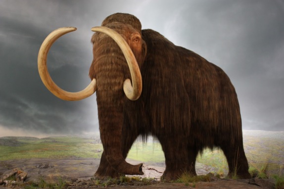 wooly_mammoth_model