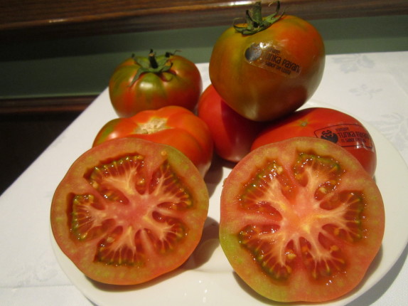 El nuevo tomate chileno -llamado Tunka Payani o T12- proviene del Valle de Lluta.