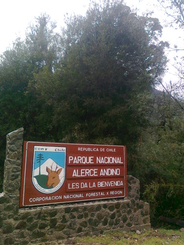 Parque_Nacional_Alerce_Andino,_El_Zargazo