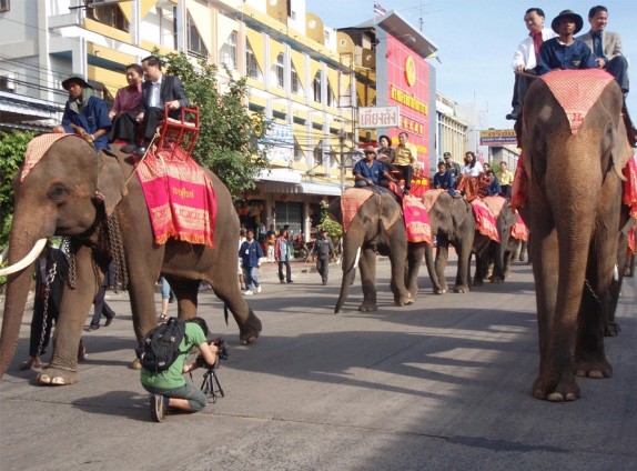 elefantes-en-desfile-turistico