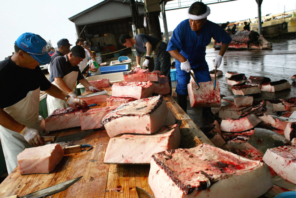kilo de carne de ballena