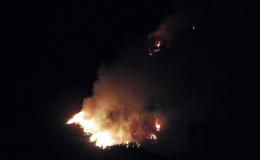 Temuco incendio forestal