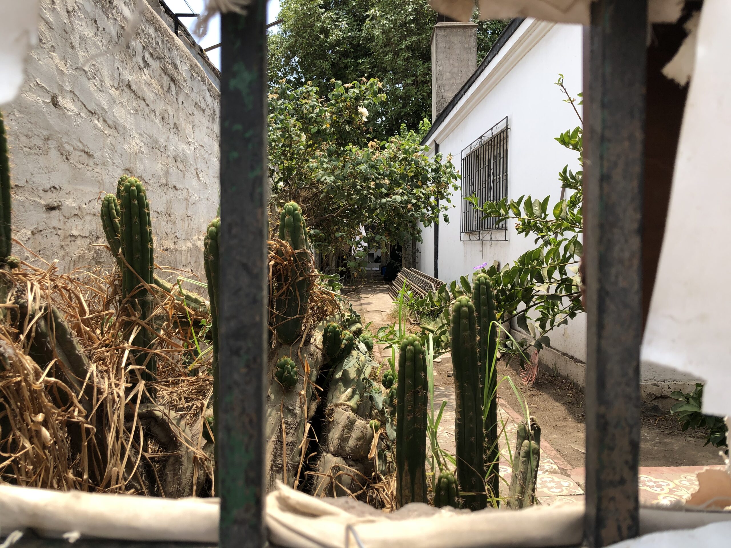 Frontis de la vivienda en la que se ubica la bodega donde fue encontrada Fernanda Maciel. Fotos: Brenda Martínez.