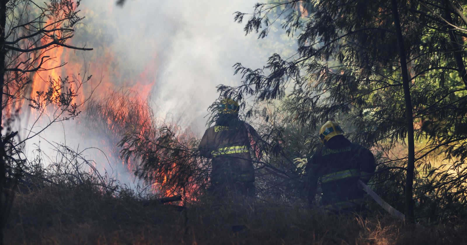 incendio forestal san fernando