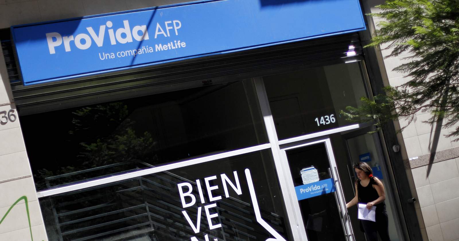 AFP Provida Pensiones Fraudulentas