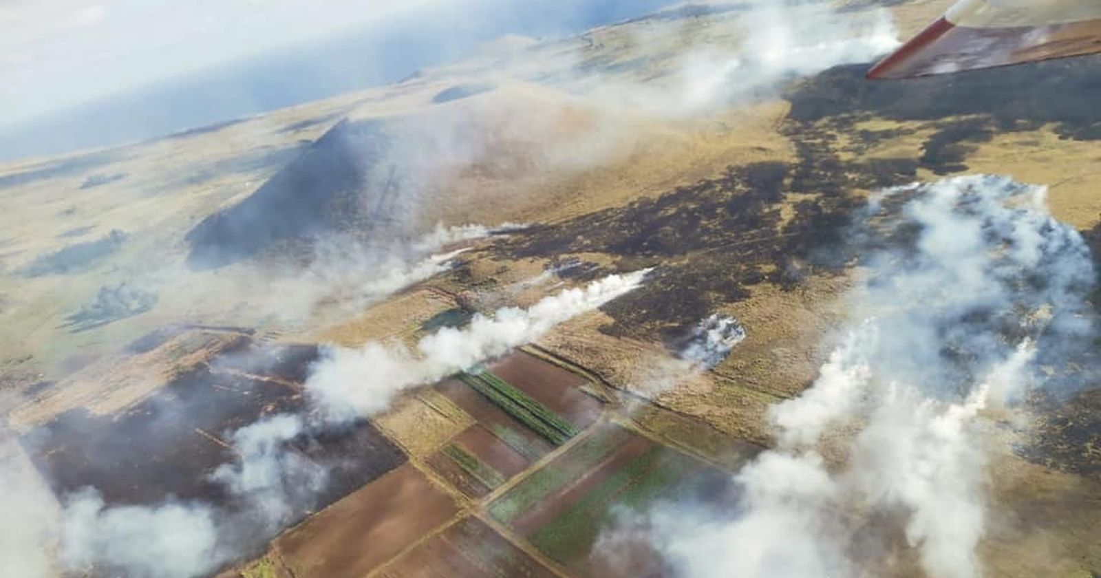 Logran controlar focos de incendio forestal en Rapa Nui