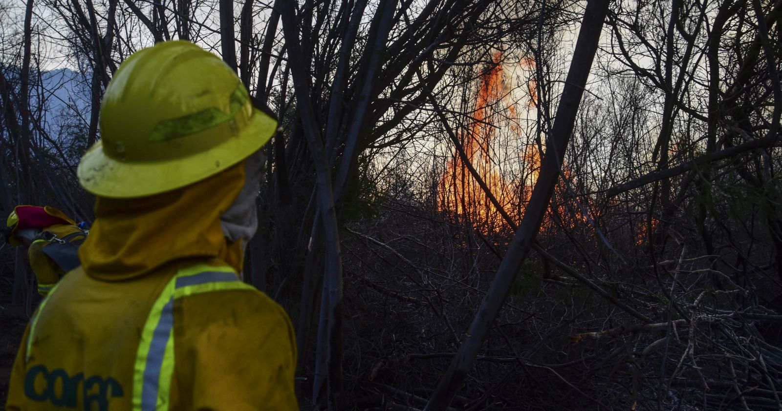 Seis incendios forestales afectan a la Región de La Araucanía