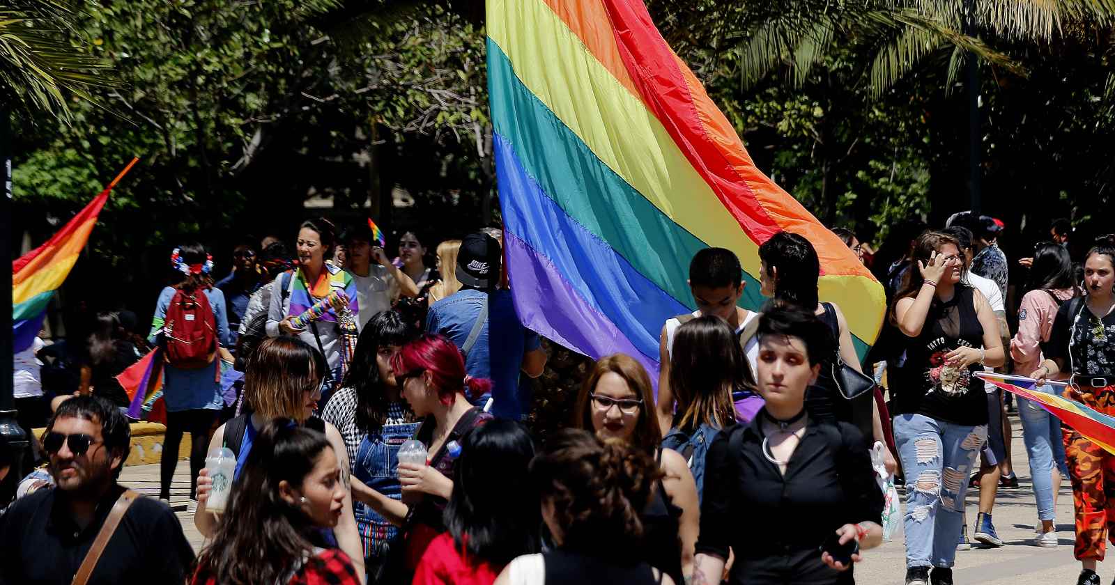 matrimonio igualitario Senado aprobado