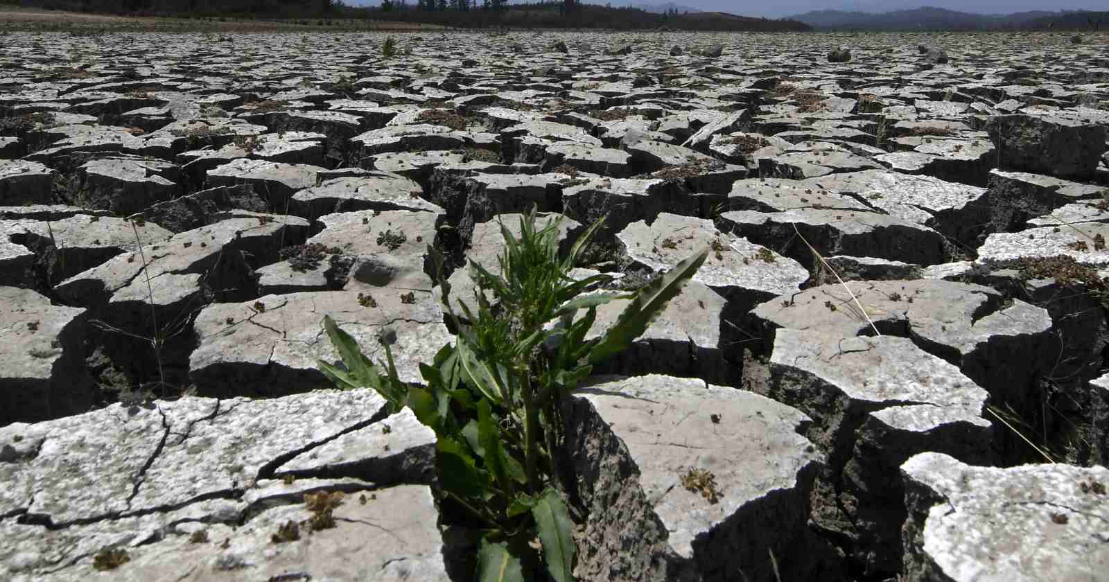Chile emergencia climática