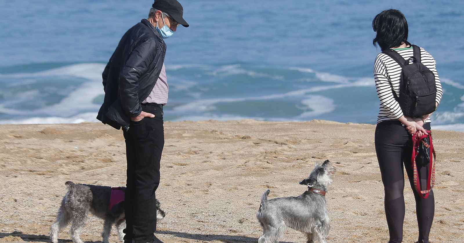 perros como hijos en caso de divorcio en España