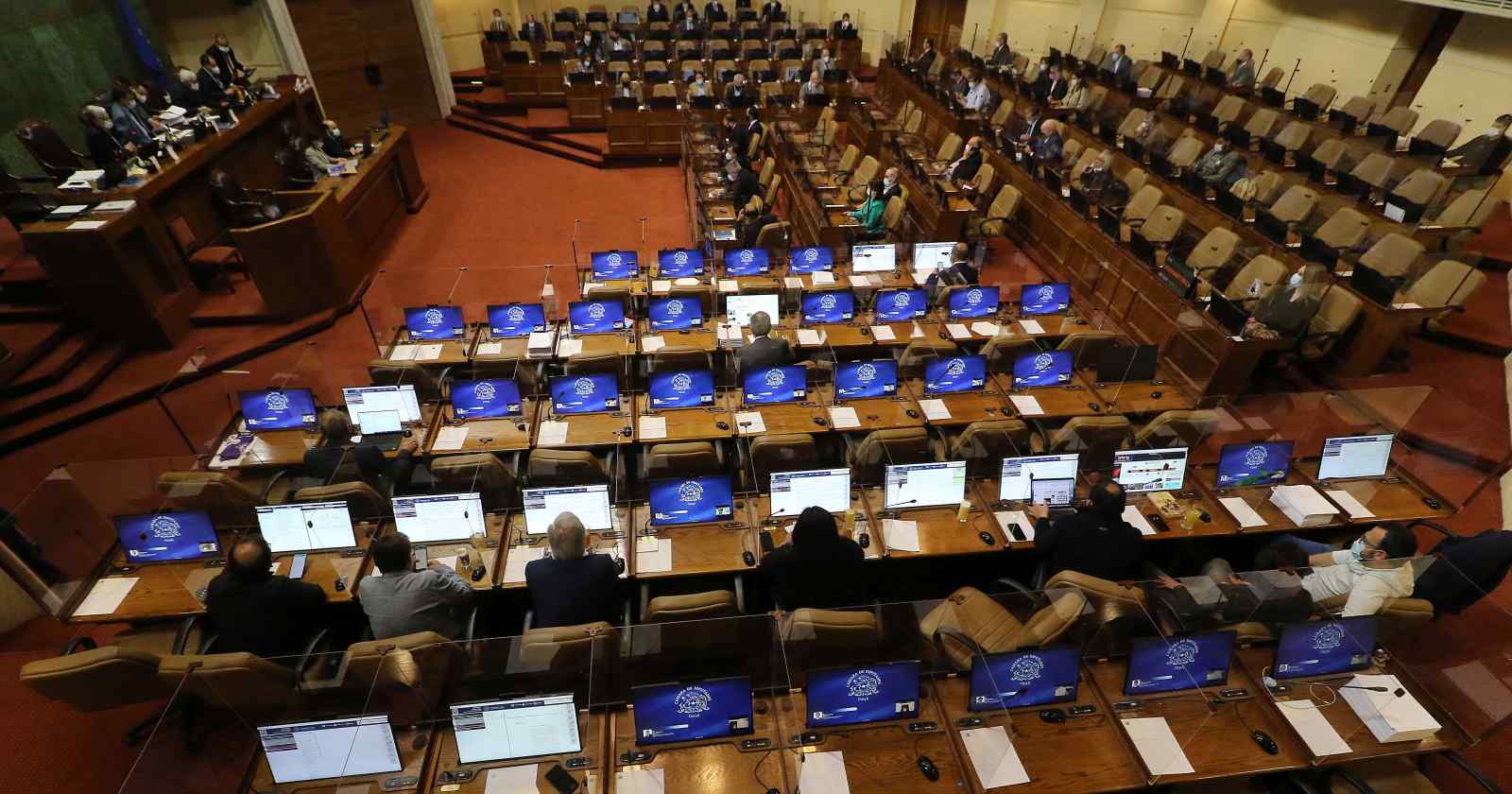 diputados test drogas