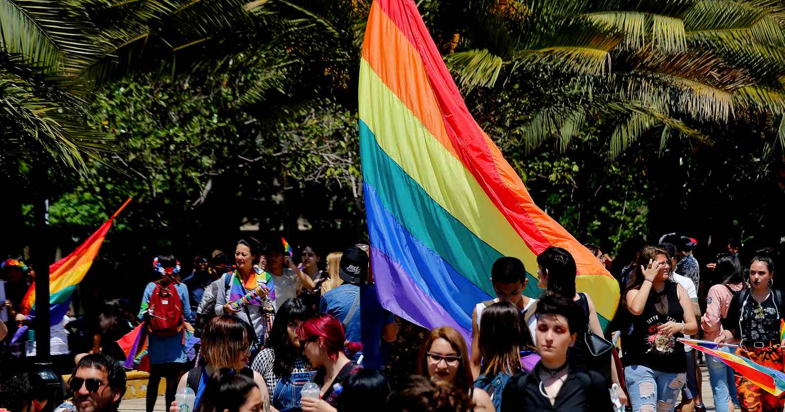 matrimonio igualitario senado