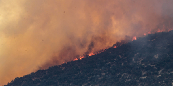 Propagación de incendios forestales: cómo evitarlos con la ola de calor