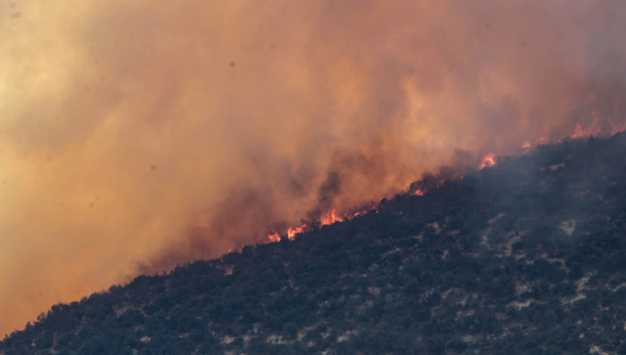 Propagación de incendios forestales: cómo evitarlos con la ola de calor