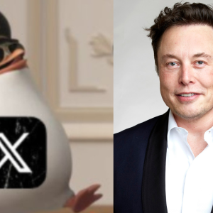 Elon Musk caída Meta