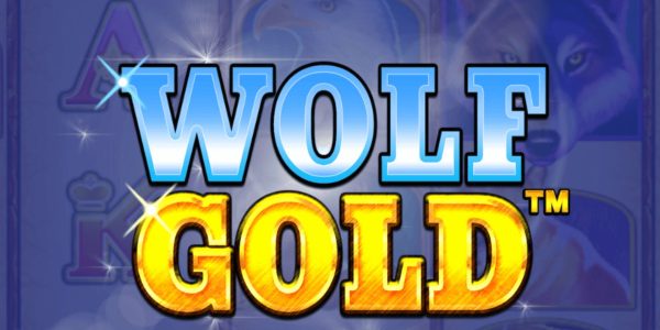 wolf gold 1win